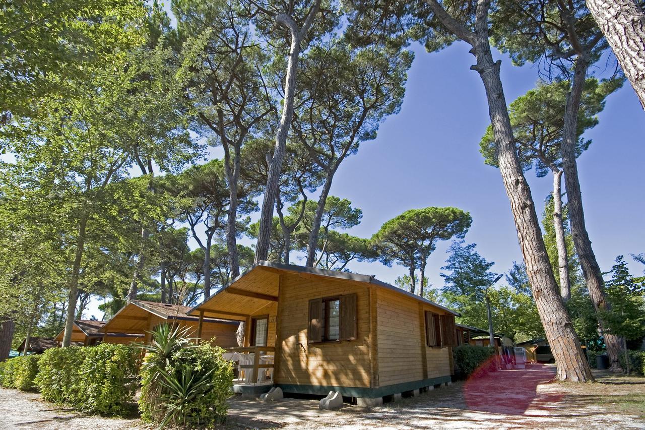 Campeggio Boscoverde Torre del Lago Puccini Exteriör bild